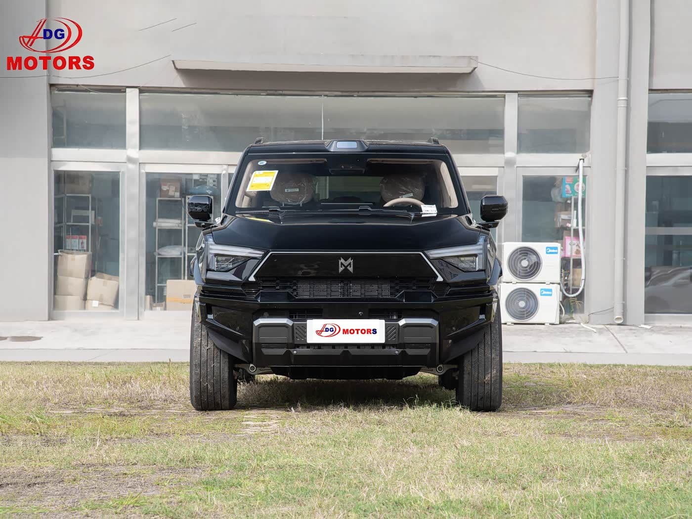 DONGFENG M817