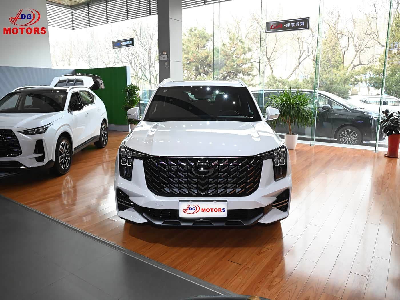 GAC TRUMPCHI GS8