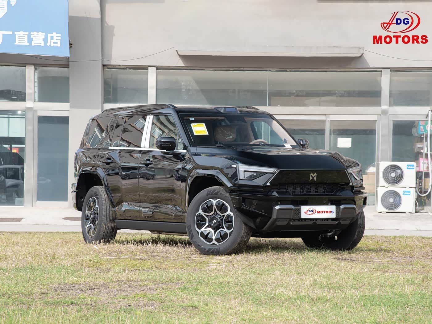 DONGFENG M817